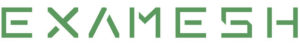 ExaMesh GmbH Logo